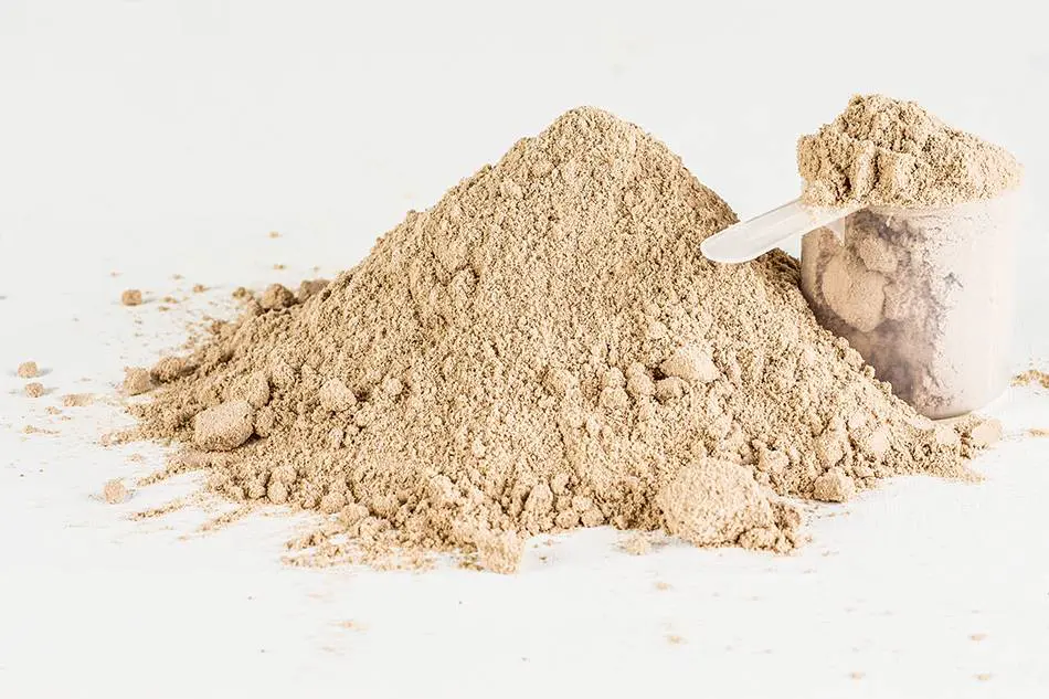 o_whey_protein_20181031130321