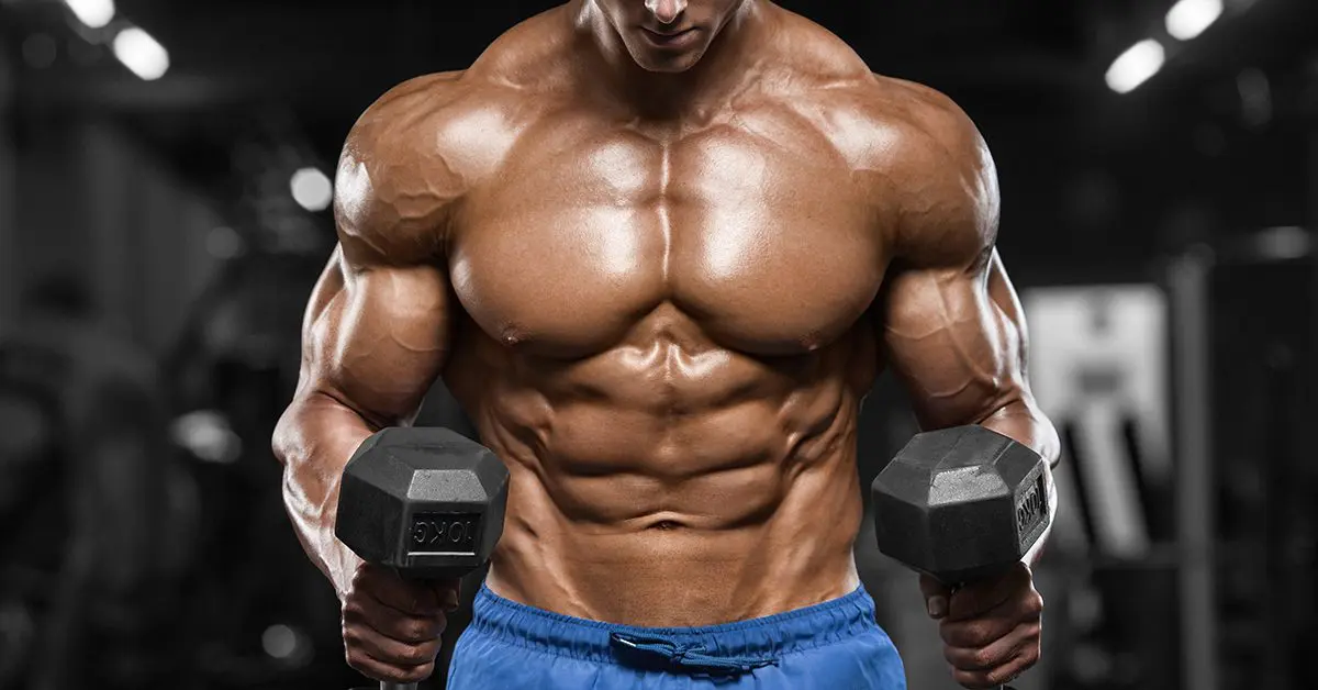 o_header_20181211174323