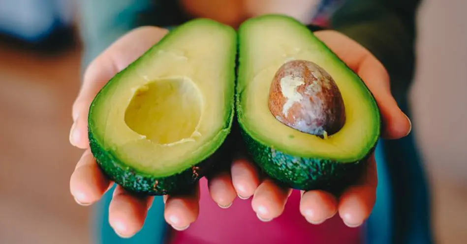 o_header_20190429095814