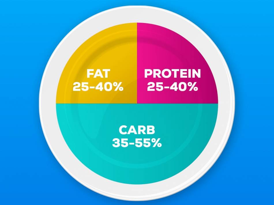 Different macronutrients needs